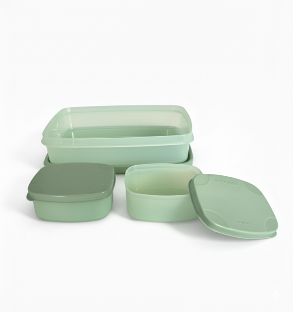 Signoraware Compact Lunch Box - Green