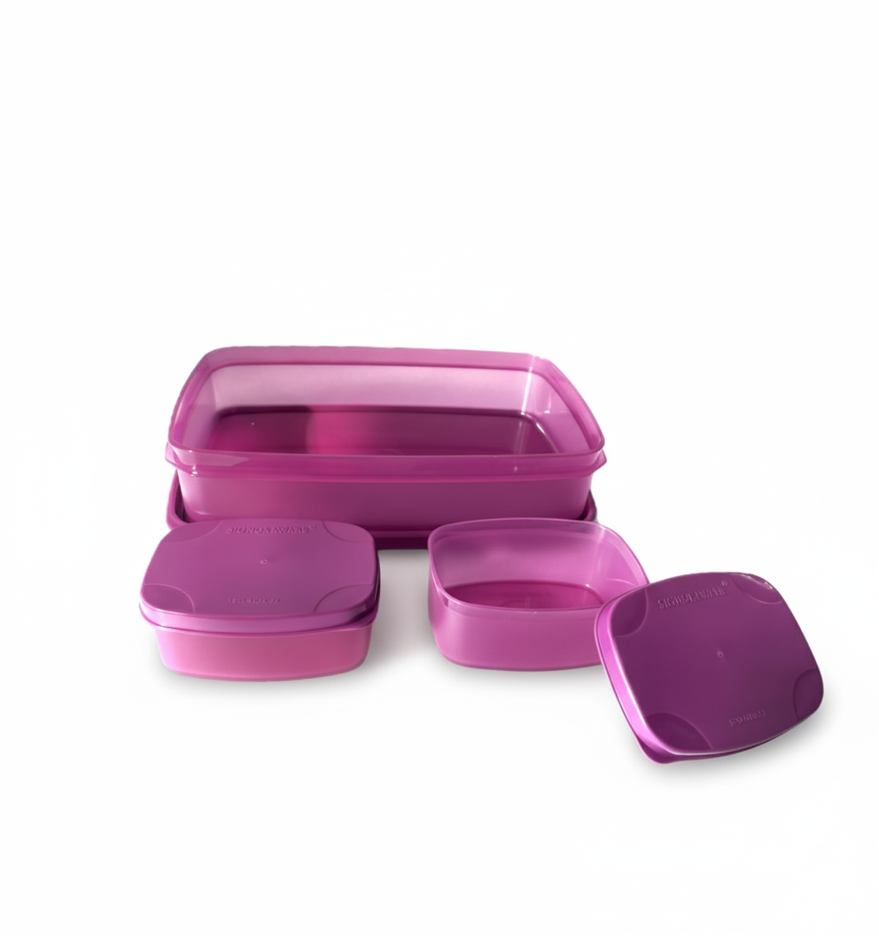 Signoraware Compact Lunch Box – Leak-Proof & BPA-Free