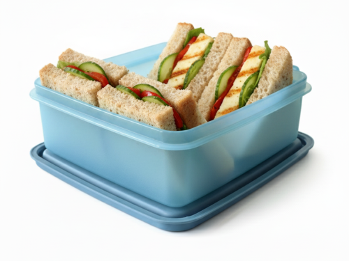 Easy to Carry - Small - 850ml